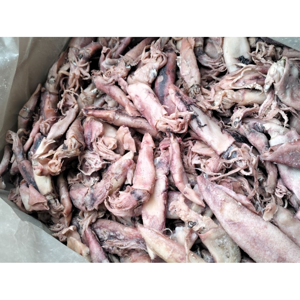 

Cumi asin kering cumi pen Termurah 1 kg Kering.