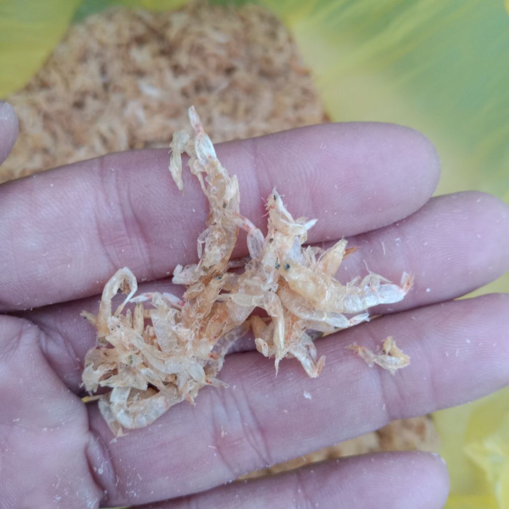 

REBON UDANG ASLI TUBAN KEMASAN 1/2 KG