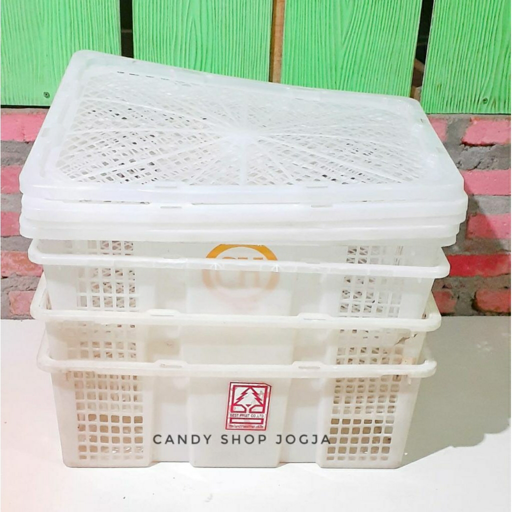 KERANJANG PLASTIK BEKAS BUAH TEBAL - KERANJANG KELENGKENG - WADAH SERBAGUNA - KOTAK PENGIRIMAN HEWAN