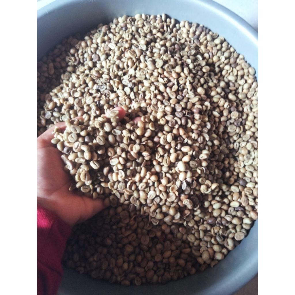 

Biji kopi mentah original kualitas super 250gram, 500gram, 1 kilo/kopi jawa/kopi robusta/ kopi lawu