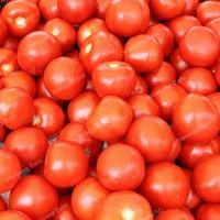 

Tomat Merah Super Segar 1kg – Buah dan Sayur Serbaguna