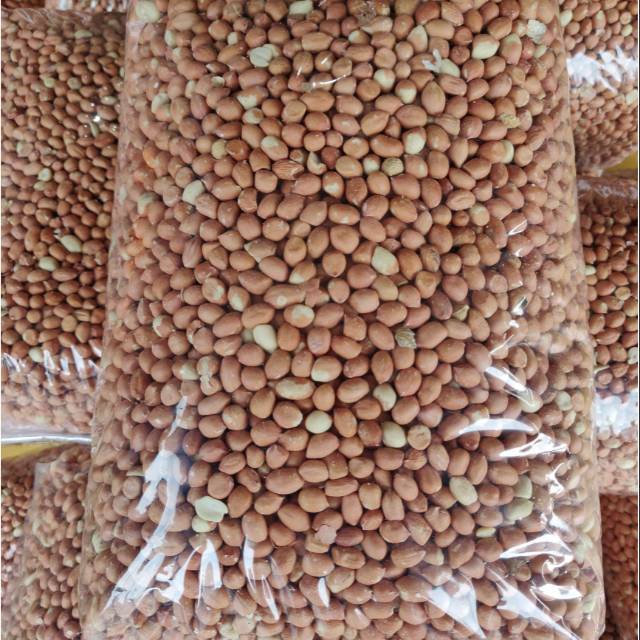 

KACANG TANAH MENTAH 1 KILOGRAM | KACANG TANAH KUPAS ASLI