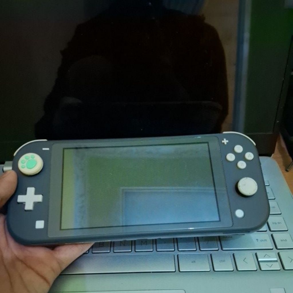 nintendo switch lite OFW bekas