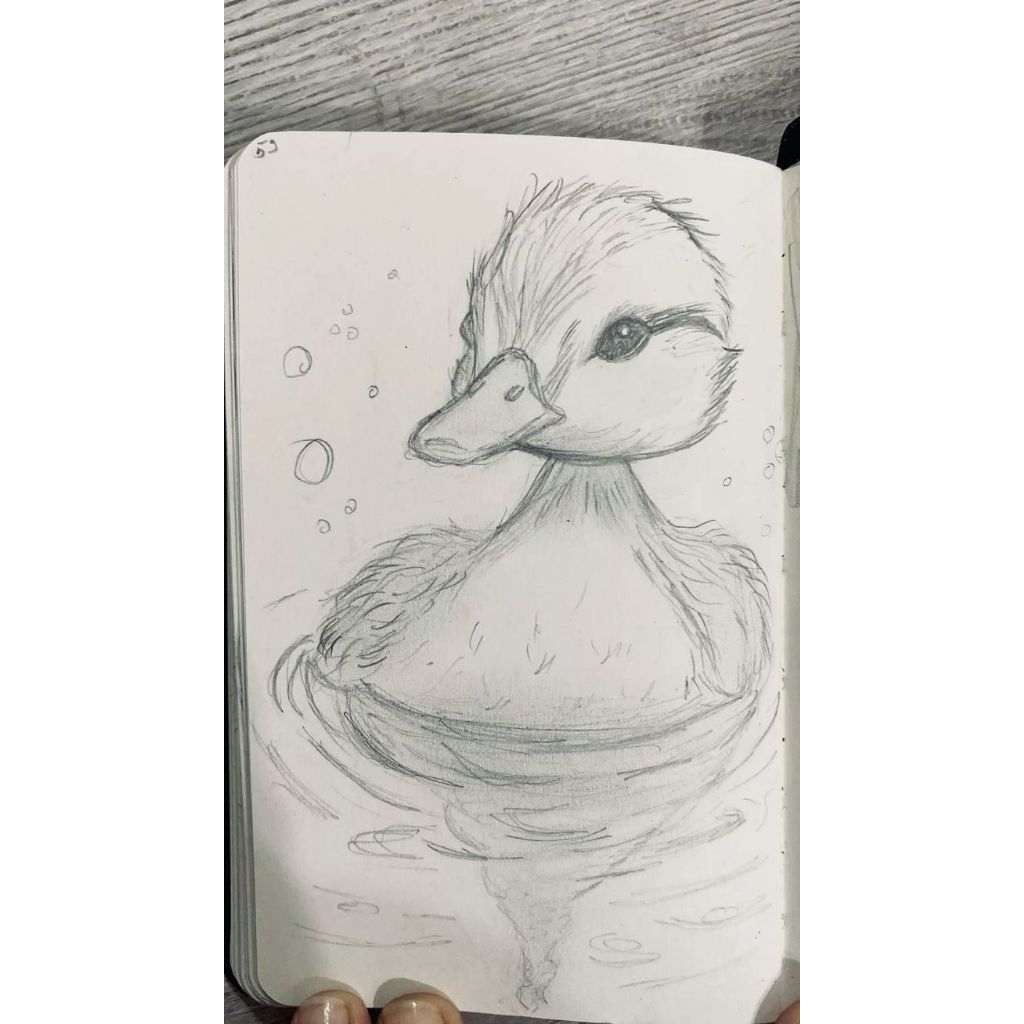 

JASA MENGGAMBAR SESUAI REQUEST