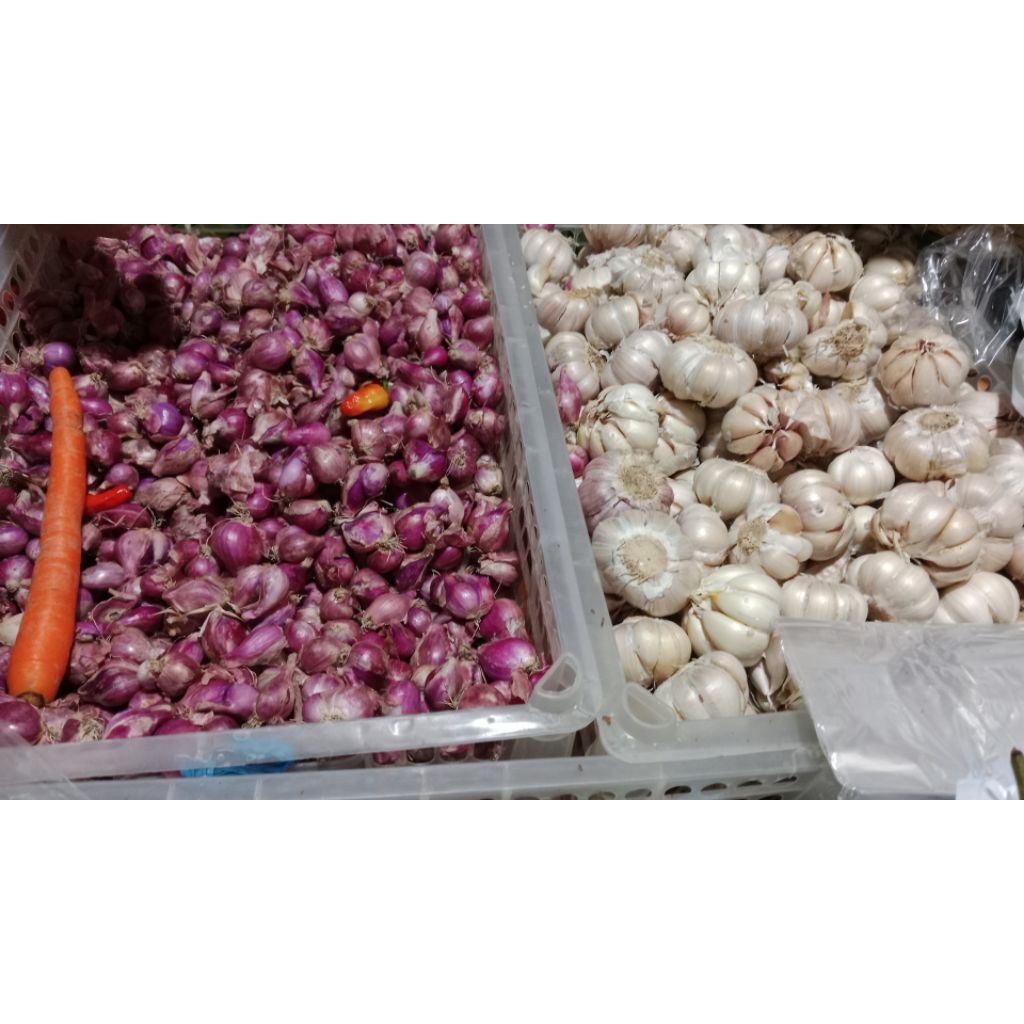 

Bandar Bawang Putih Super Fress harga lebih murah kualitas jangan di ragukan 1kg