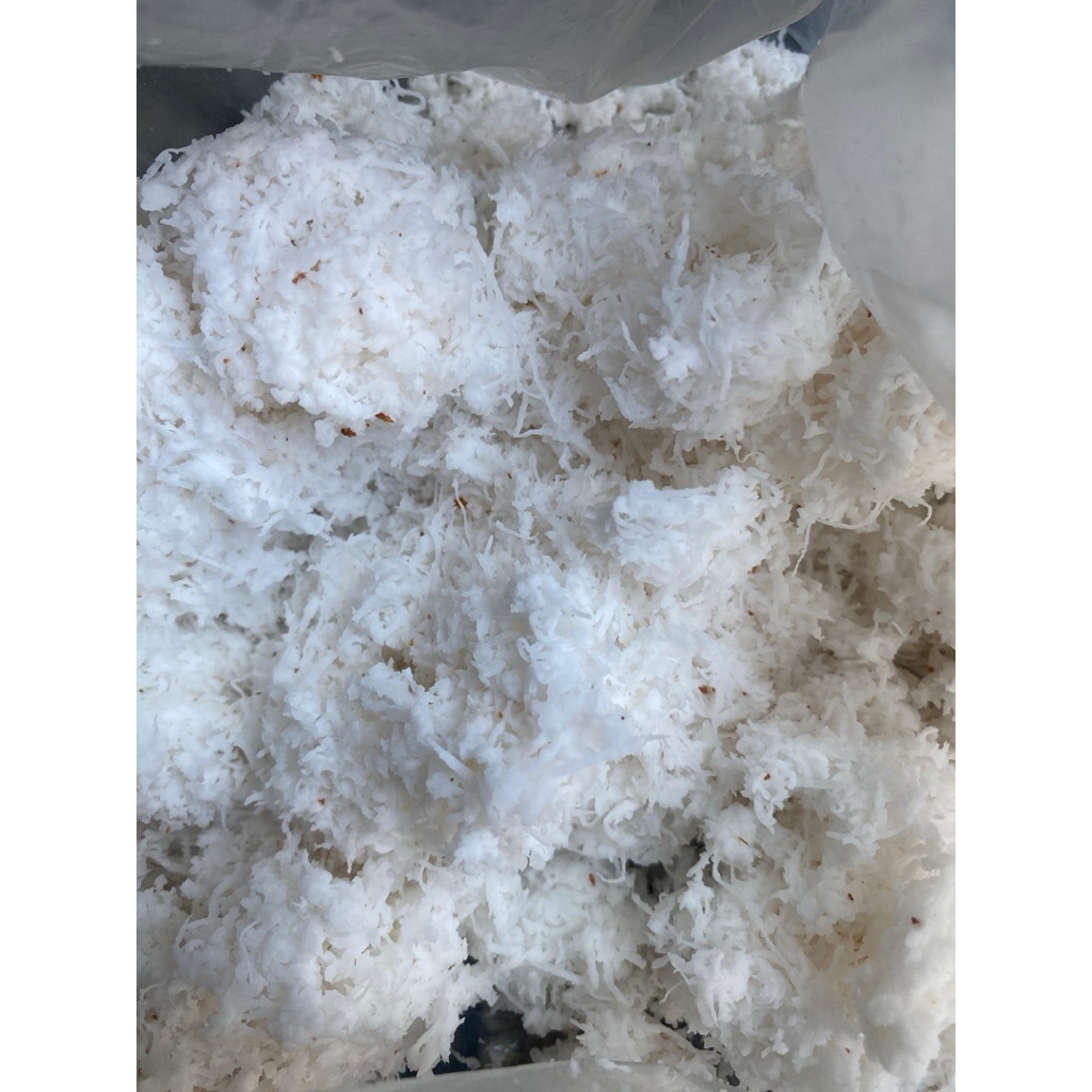 

Kelapa Tua Parutan 1 Butir