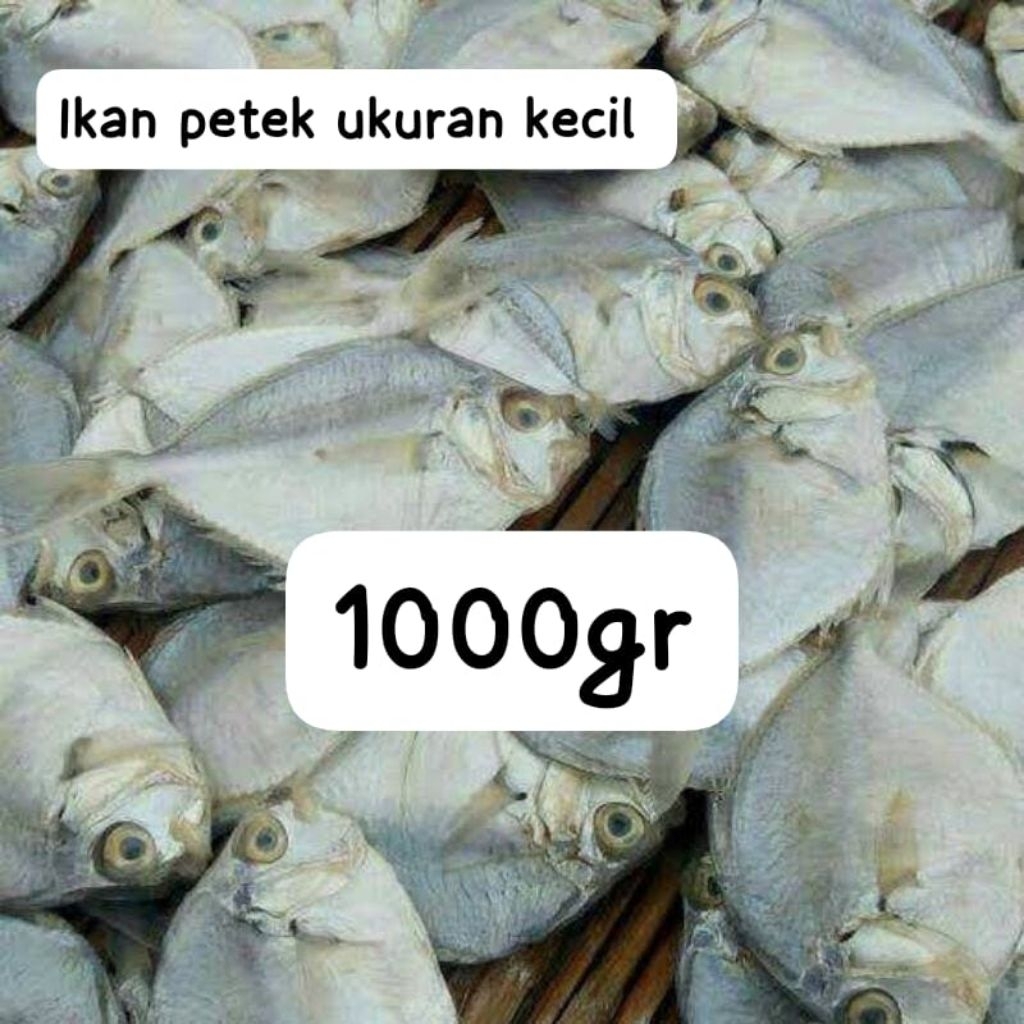 

ikan dodok/ petek ukuran kecil khas Madura