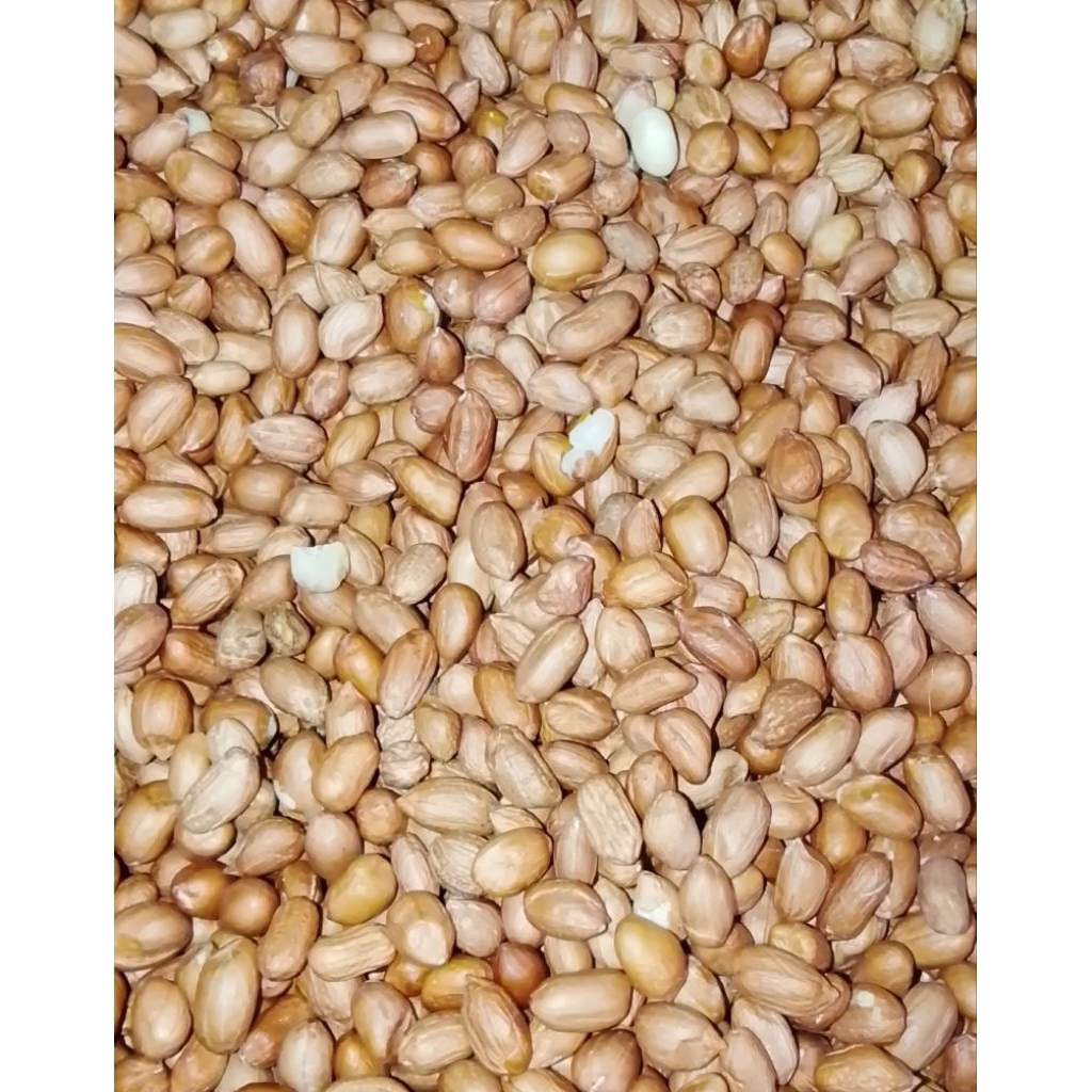 

Kacang tanah 500 gram