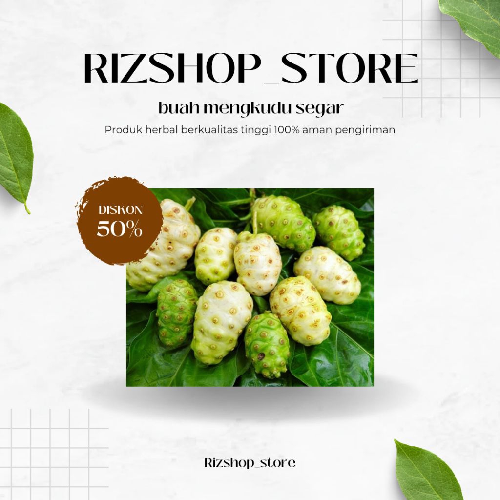 

Buah mengkudu segar untuk mencegah kanker 1 kg siap kirim