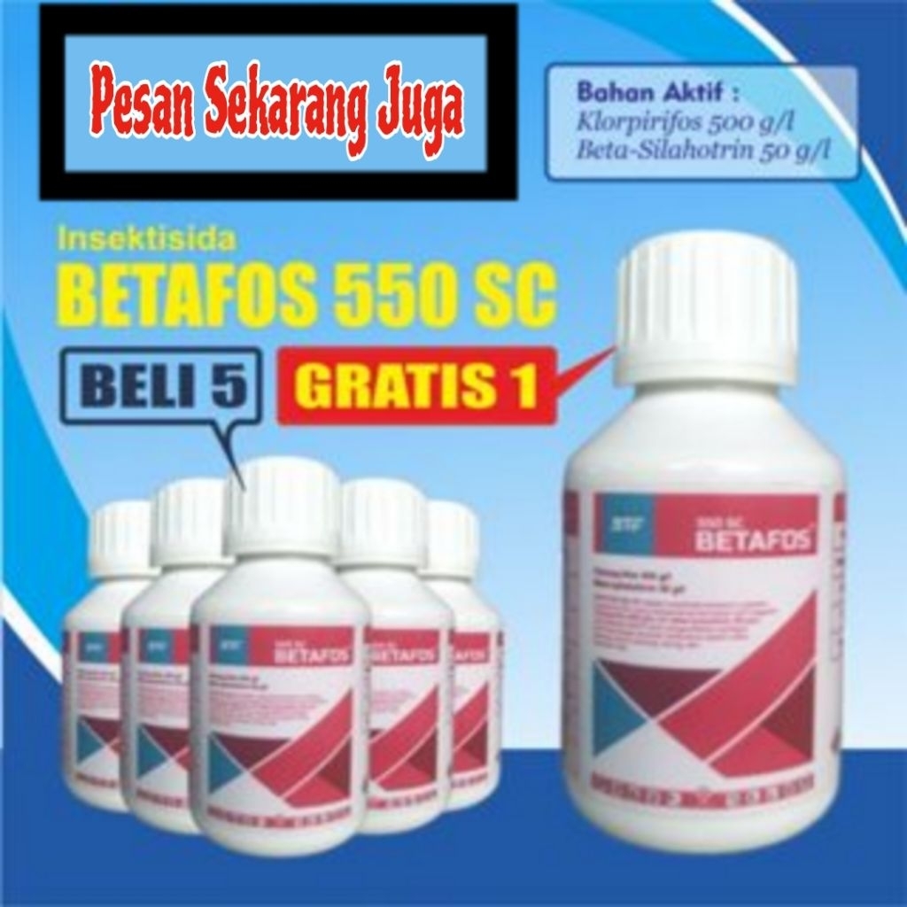 BETAFOS 550SC 100ml /INSEKTISIDA ULAT GRAYAK WERENG SUNDEP / KLORPIRIFOS + BETA - SIHALOTRIN