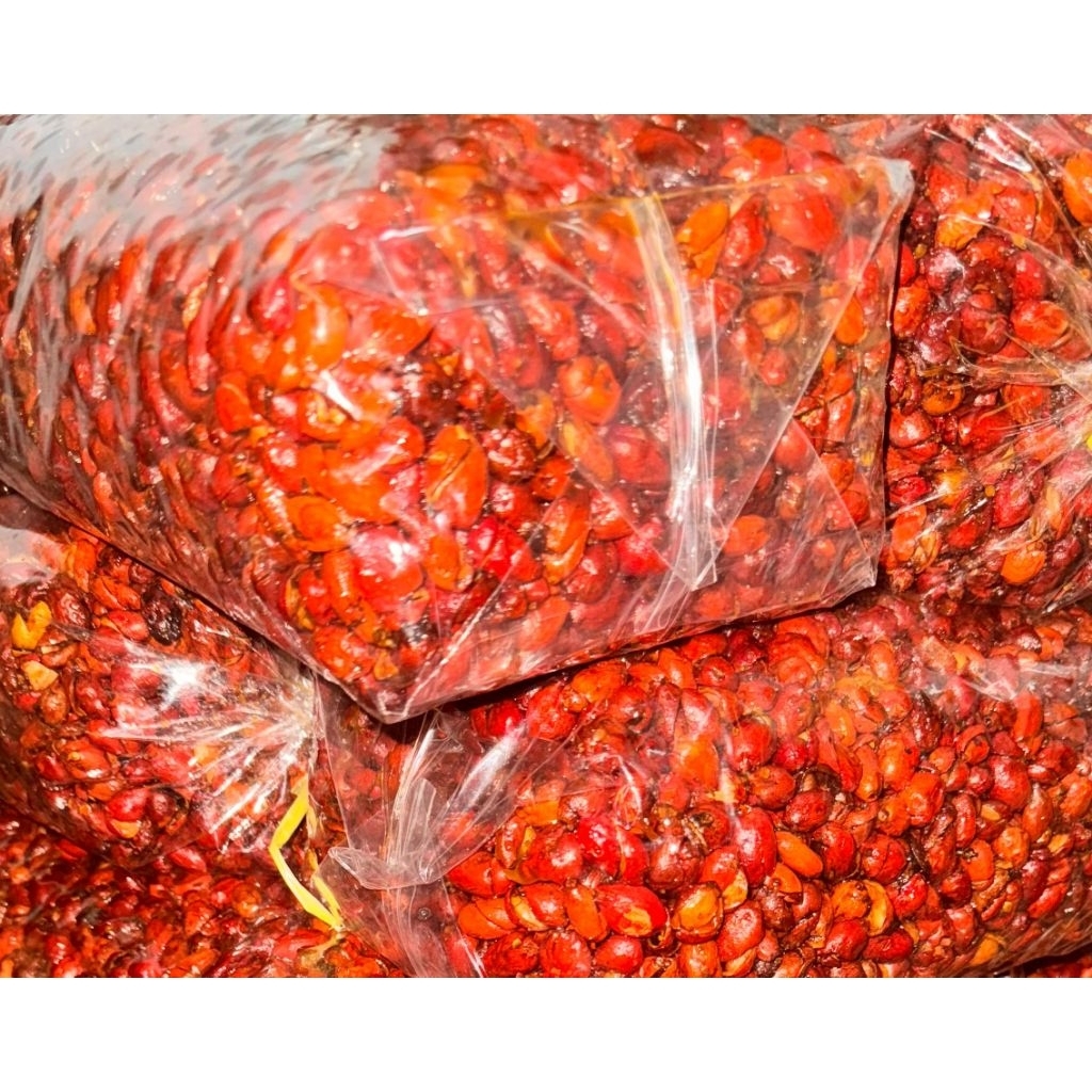 

Kulit Melinjo Pedas Manis 1 kg