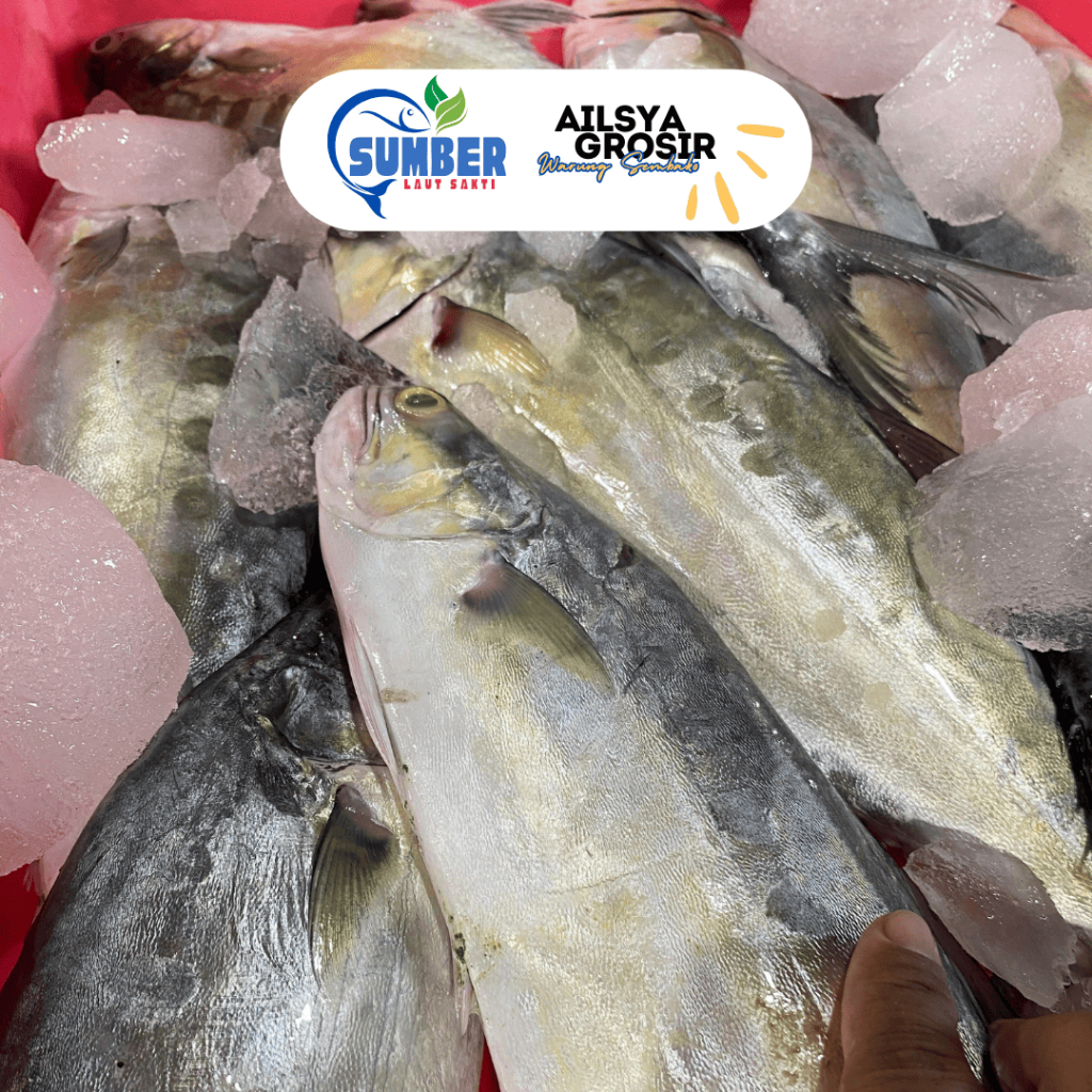 

Ikan Talang Segar Bersih Fresh 1 Kg