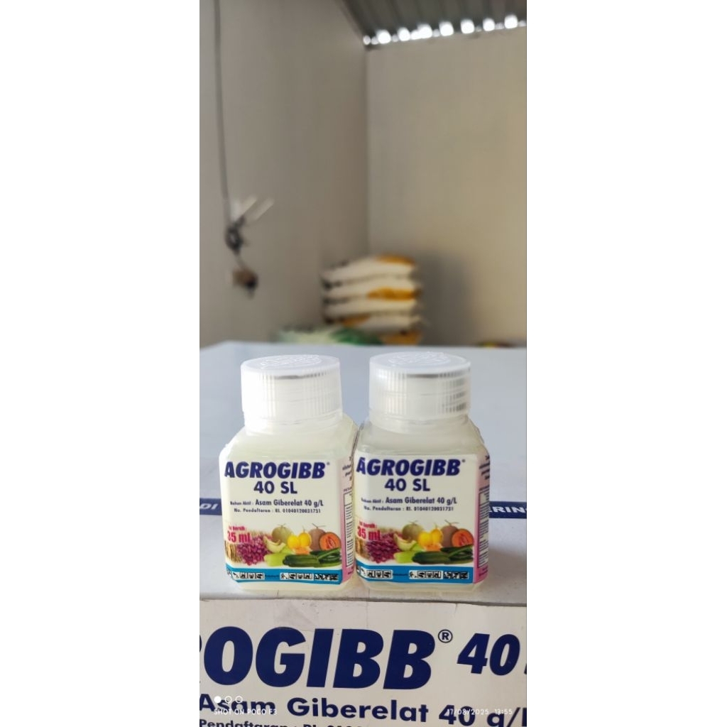 ZPT - Zat perangsang pertumbuhan