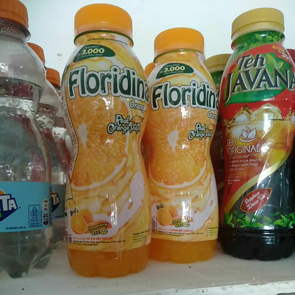 

FLORIDA orange 3000 an