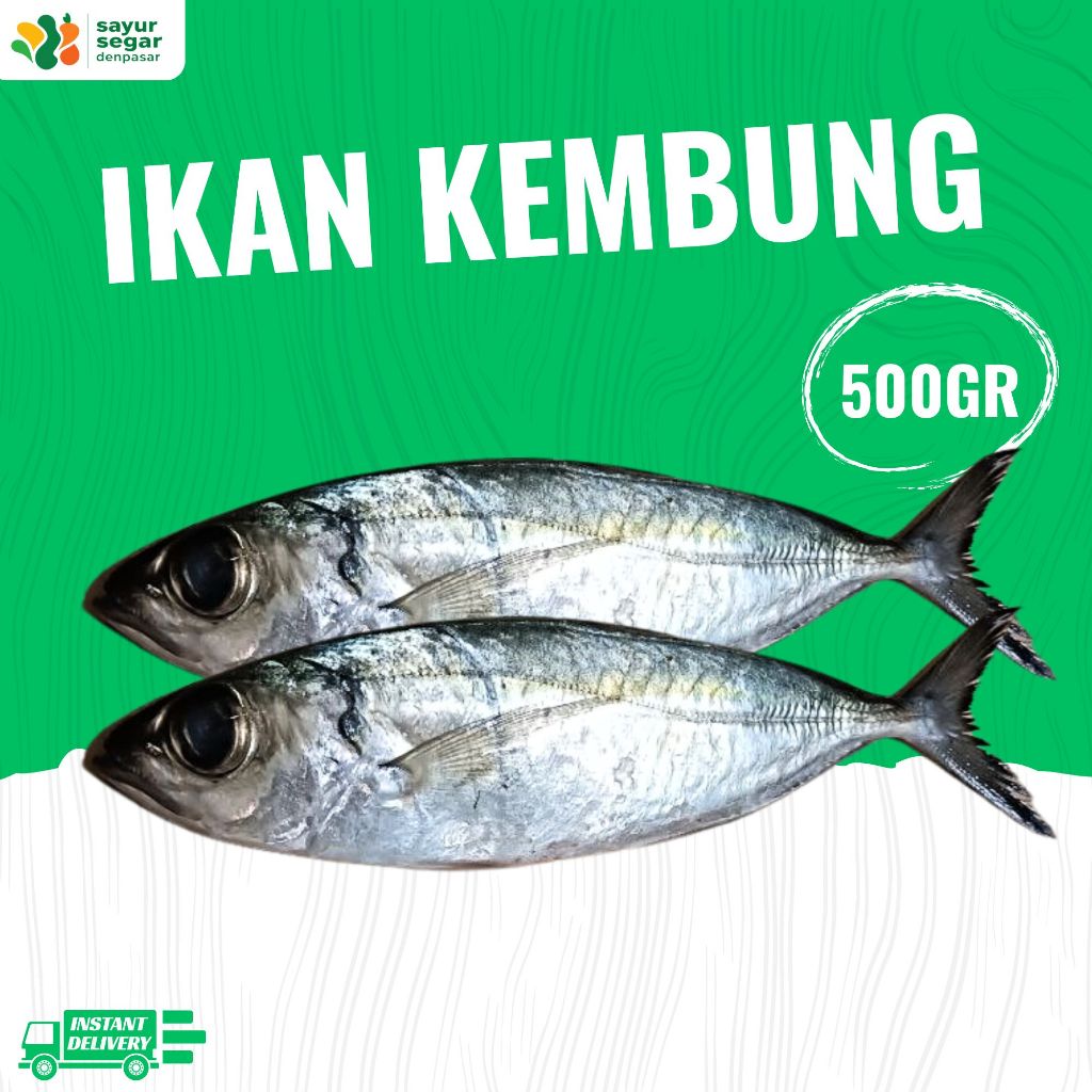 

IKan Kembung 500gr - Sayur Segar Denpasar