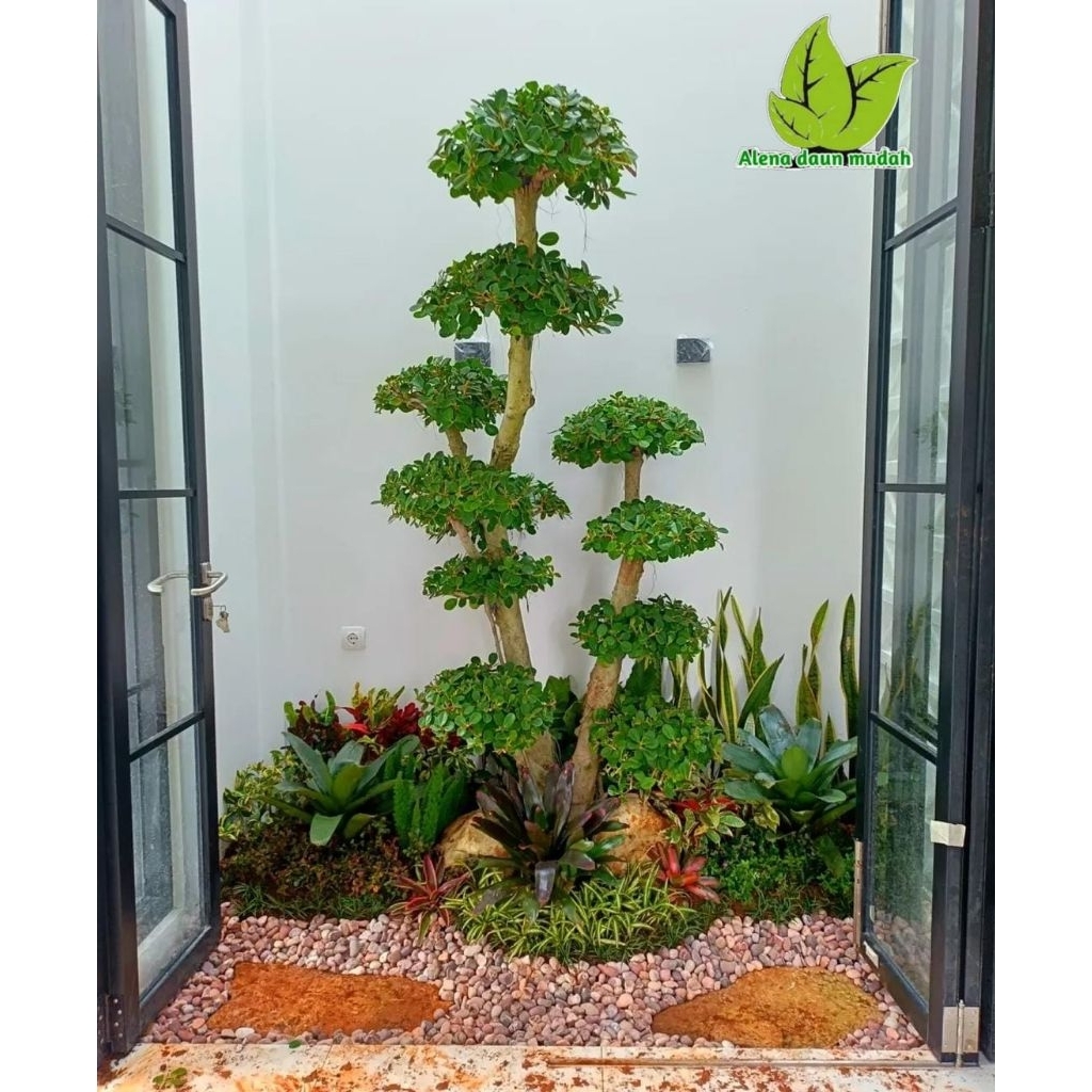 Taman kering minimalis / taman batu koral/taman indoor minimalis