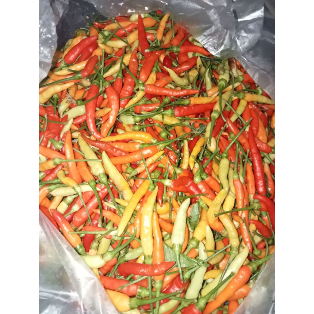 

Cabe 500 gram