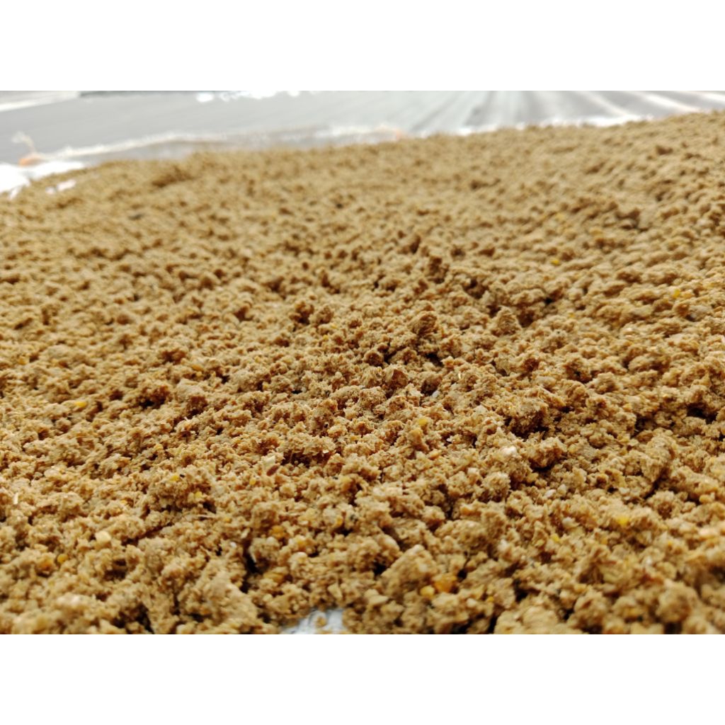 pakan jadi ayam petelur usia 18-apkir