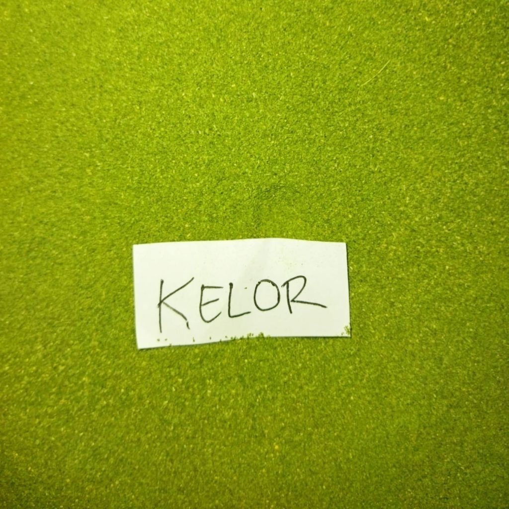 

Bubuk Daun Kelor Murni 100 gr