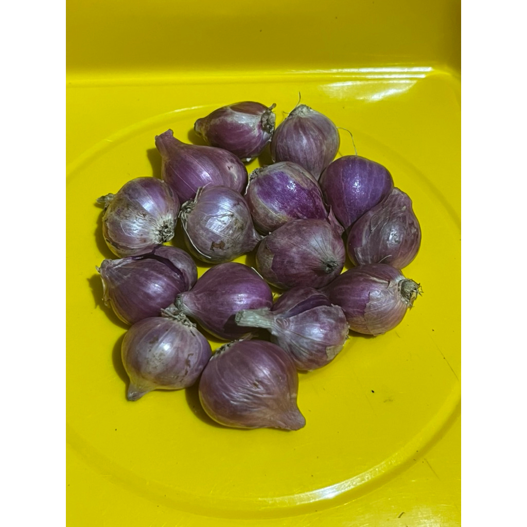 

Bawang Merah Kering Berkualitas Lokal Nganjuk Size Besar kemasan 1000gr