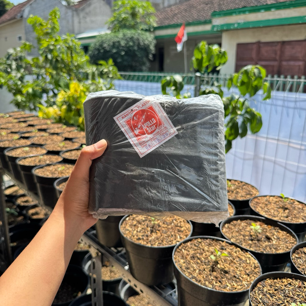 Polybag Tanaman Kiloan