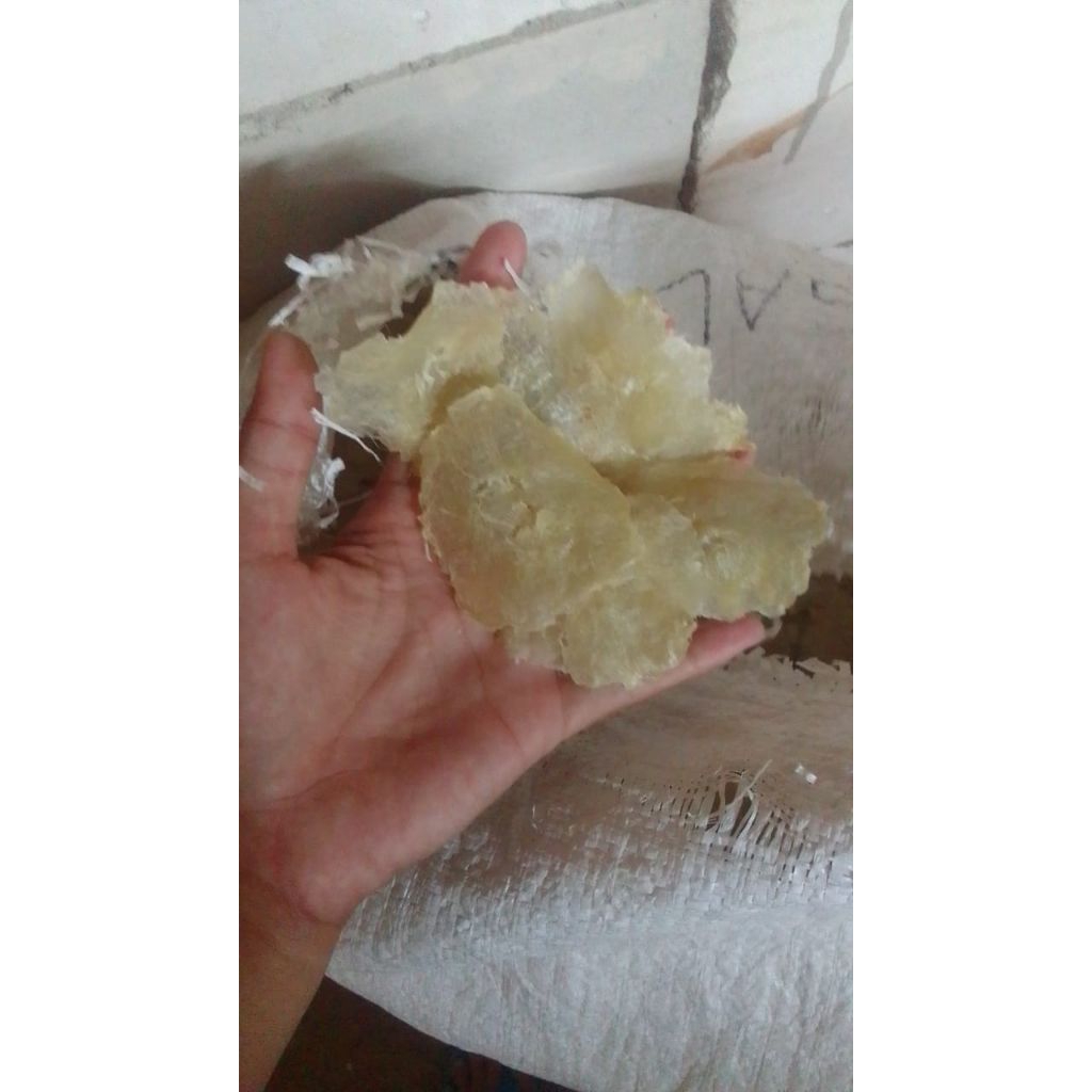 

Emping Garut mentah 250gram