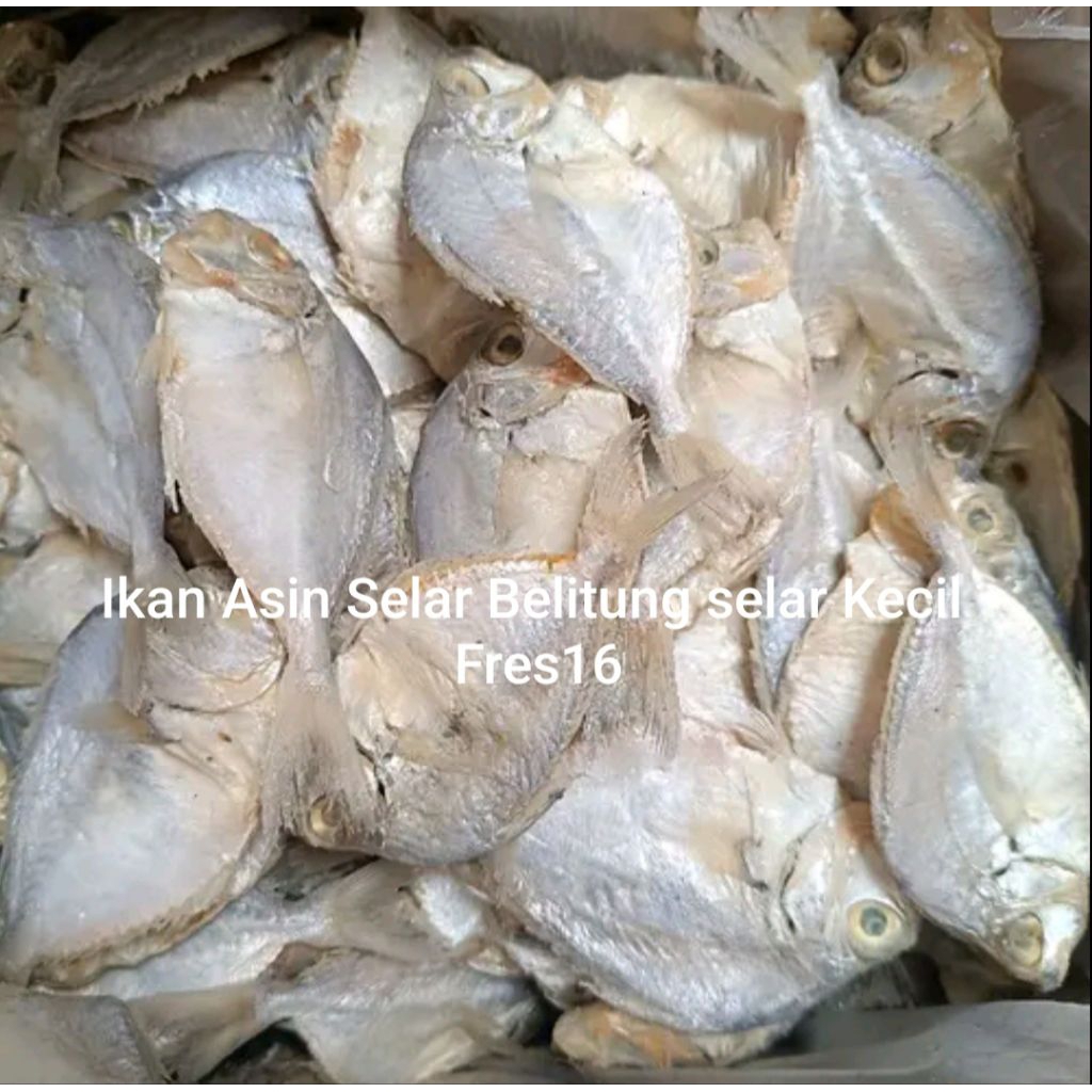 

Ikan Asin Petek/Pepetek Besar fres16