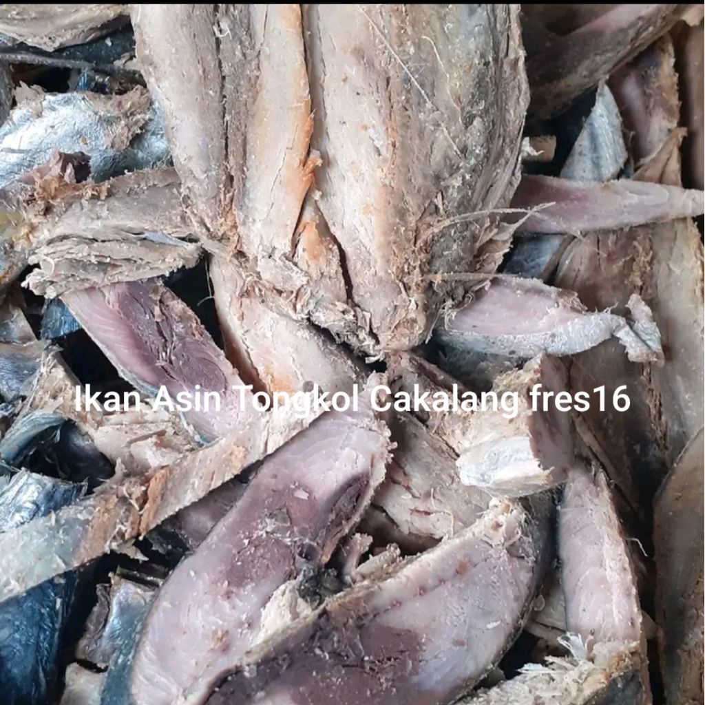 

Ikan Asin Tongkol Cakalang fres16