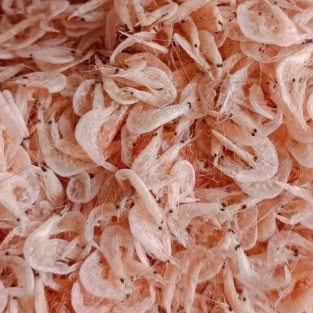 

Ikan rebon kering kualitas super 1 kg tanpa bahan pengawet (GARANSI)