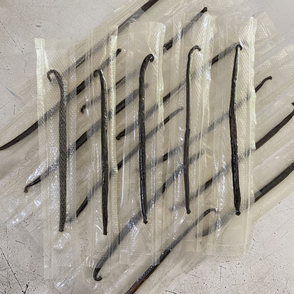 

Vanilla beans grade A 1 tangkai panjang 15 cm | vanila beans | vanilla bean