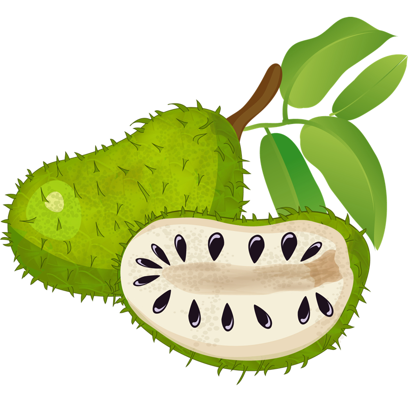 

SIRSAK KUPAS BEKU / FROZEN SOURSOP CUSTOM 100 GR DAN 120 GR