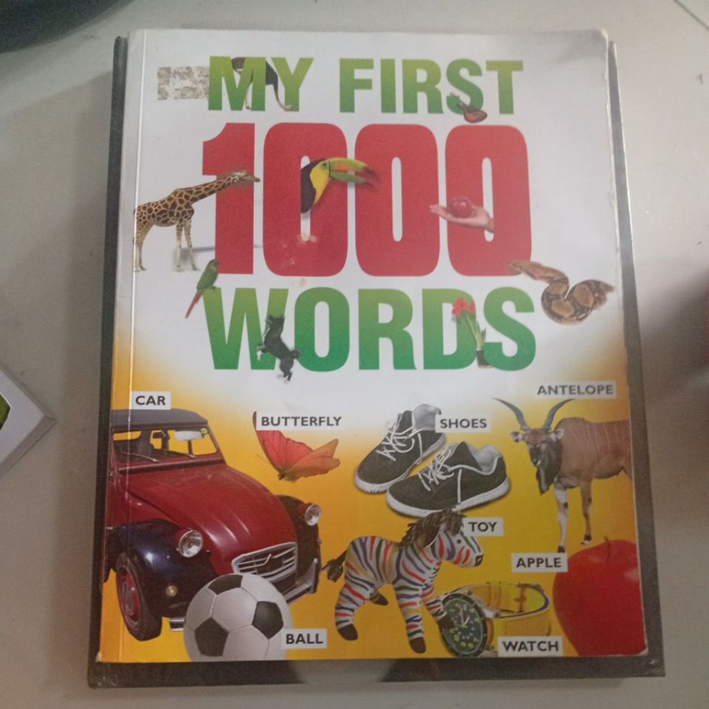 My first 1000 Words