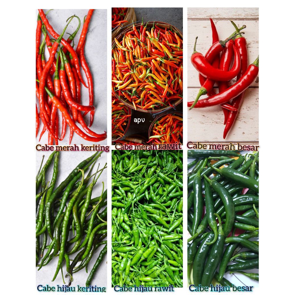 

cabe/cabai/lombok segar all varian