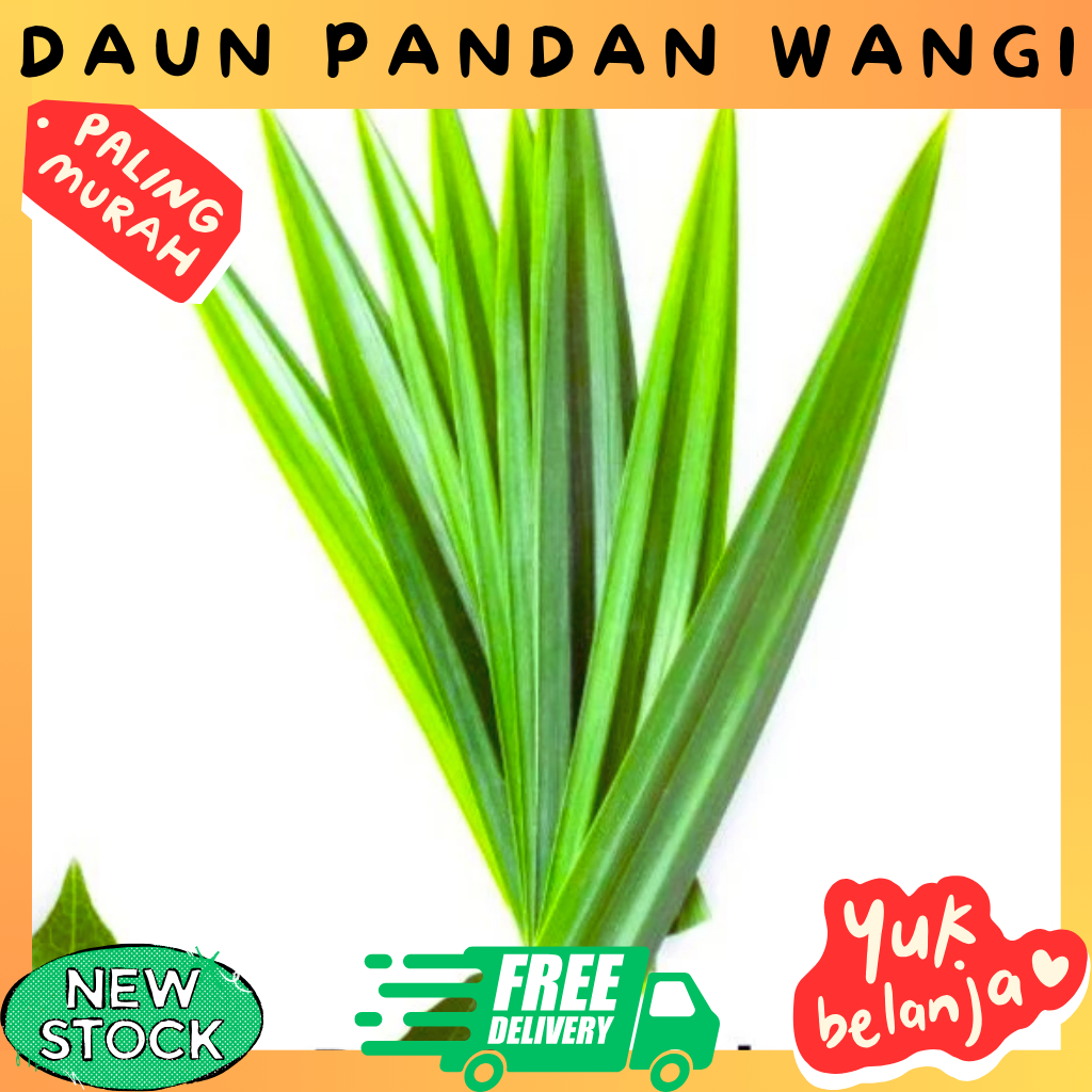 

Daun Pandan Per 10 Lembar
