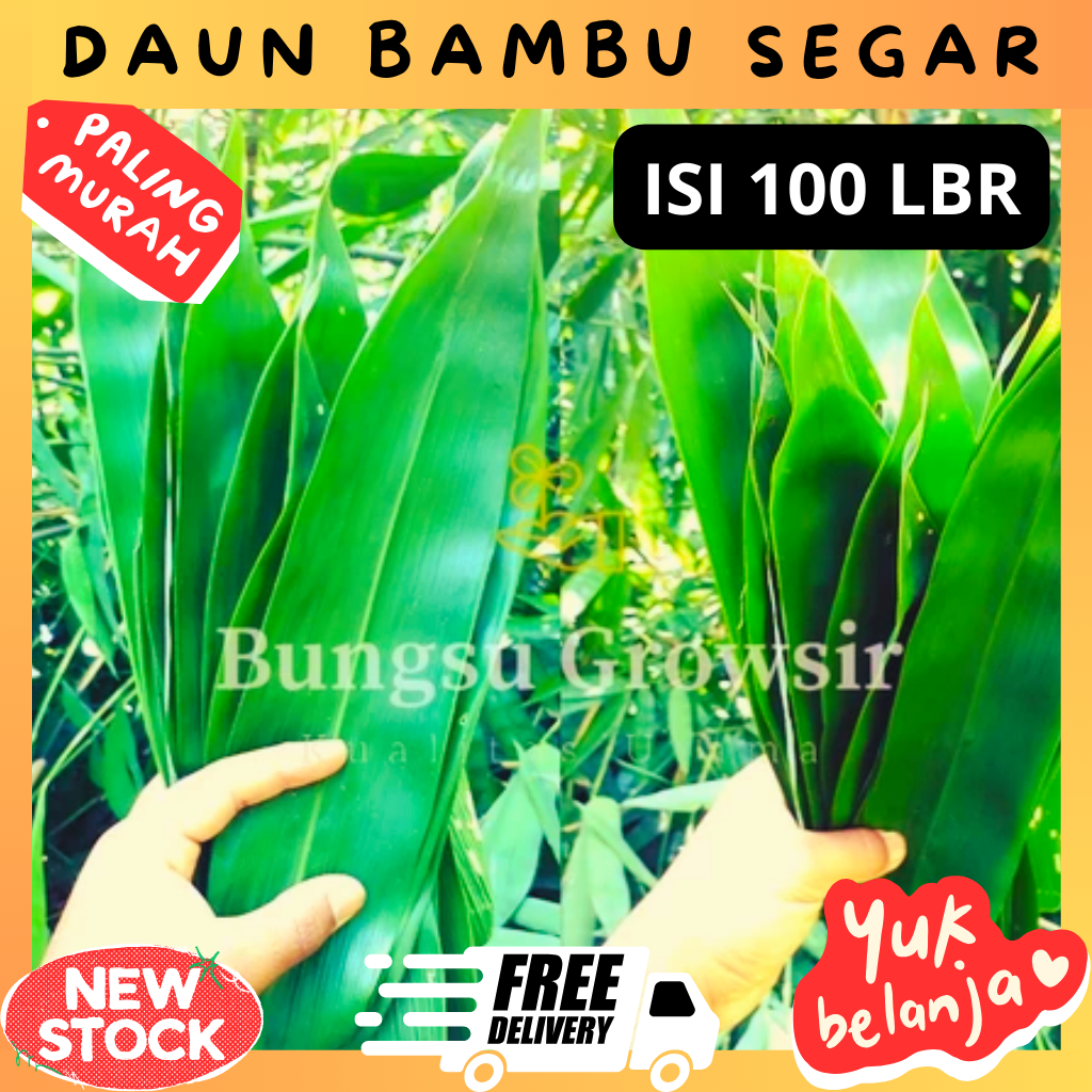 

Daun Bambu Segar Pilihan Bungkus Bacang isi 100 pcs