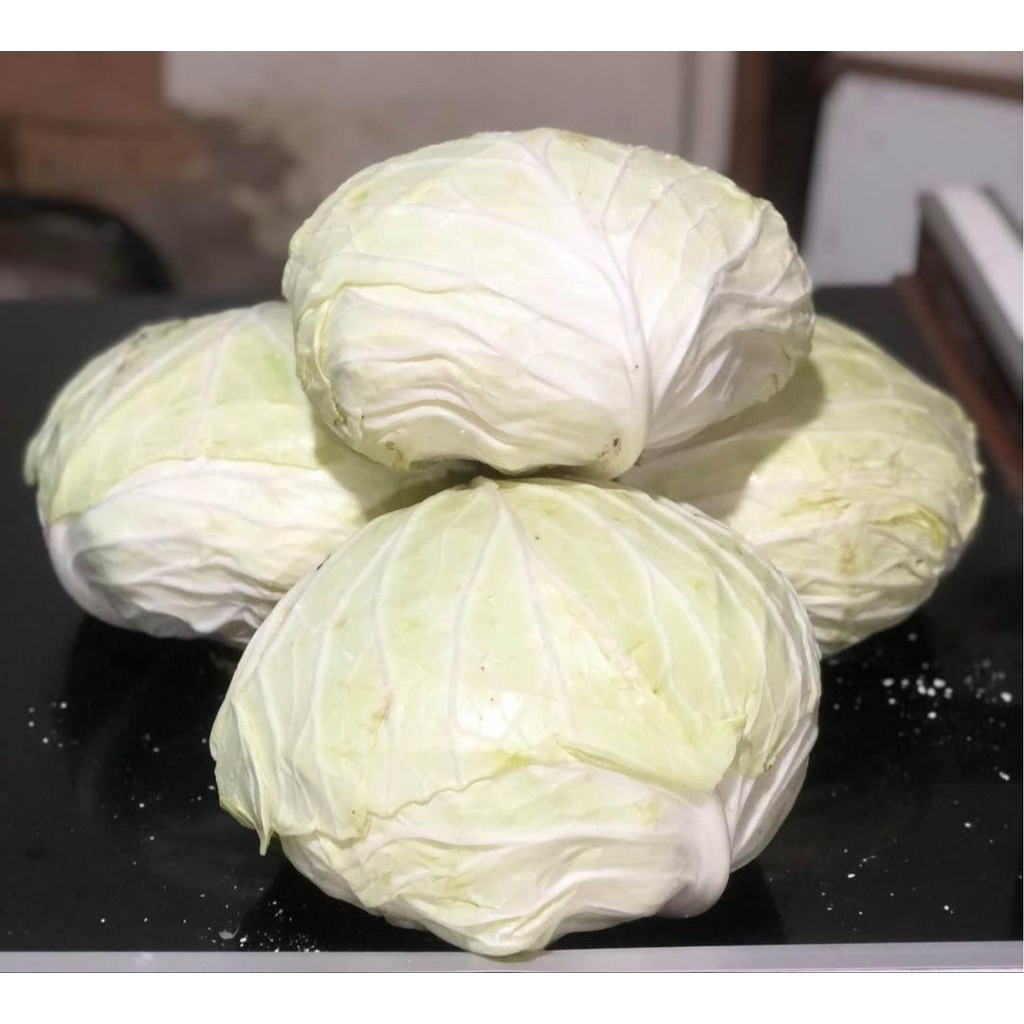 

KOL PUTIH FRESH PER BUAH 1KG - 1.5KG