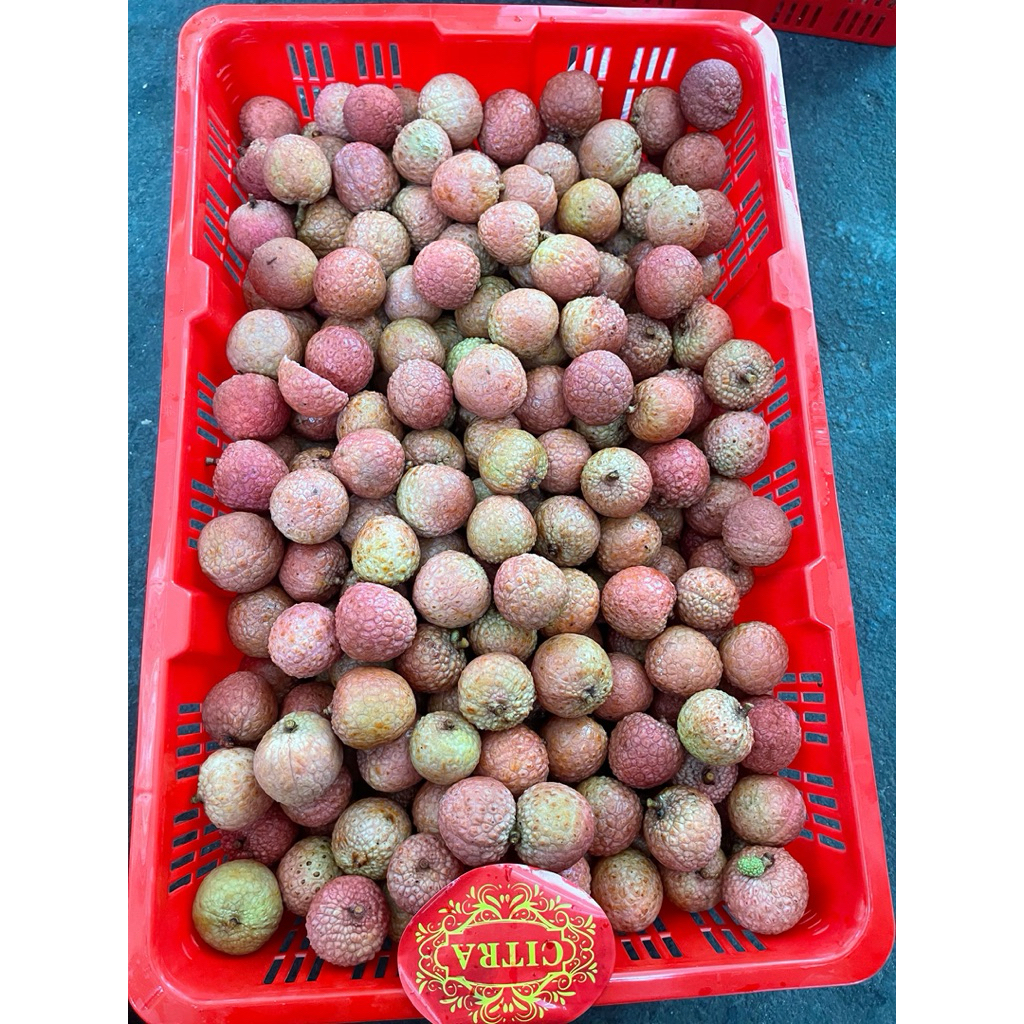 

LYCHEE / LECI MADU CURAH IMPOR MERAH/HIJAU MANIS NEW 5 KG