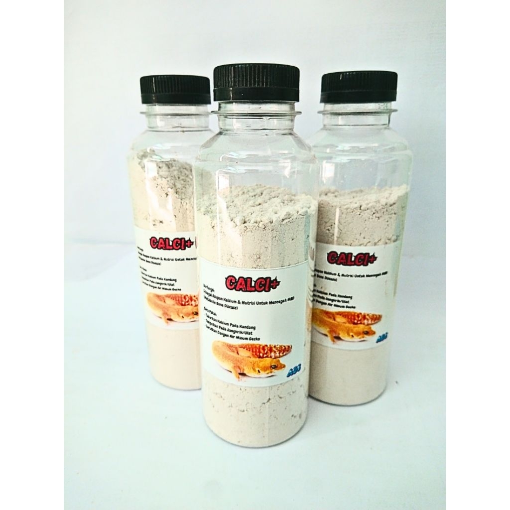 CALCIUM KALSIUM GECKO CALCINUT