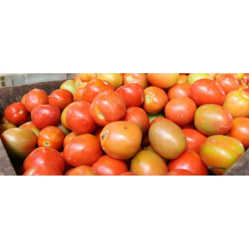 

Tomat Merah 250 g