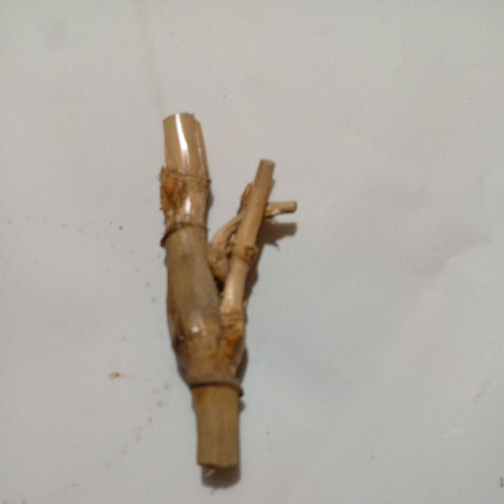 bambu unik jalu puncak, Jalu tunggal, petuk Jalu, Jalu tumpang rogo