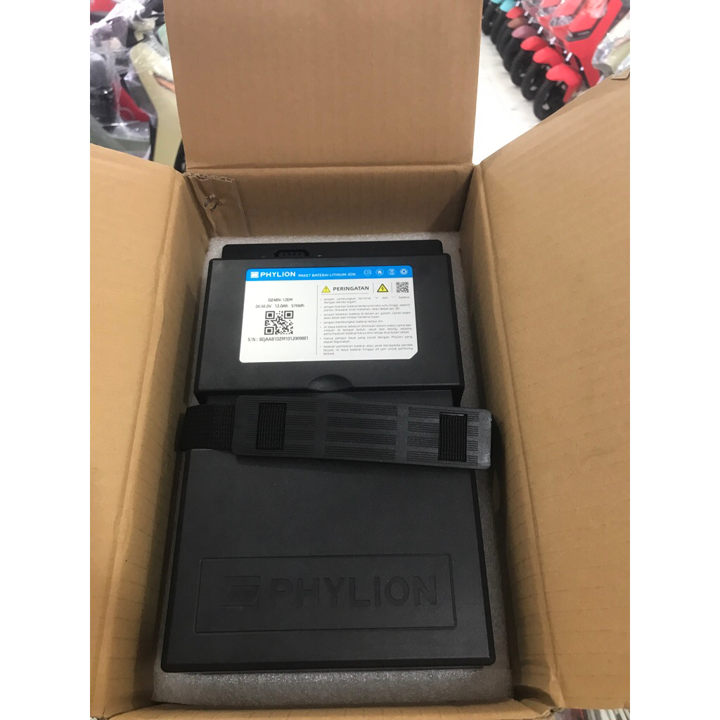 baterai phylion lithium Dc48v  12ah / u winfly tipe M60,M70,T65,T70