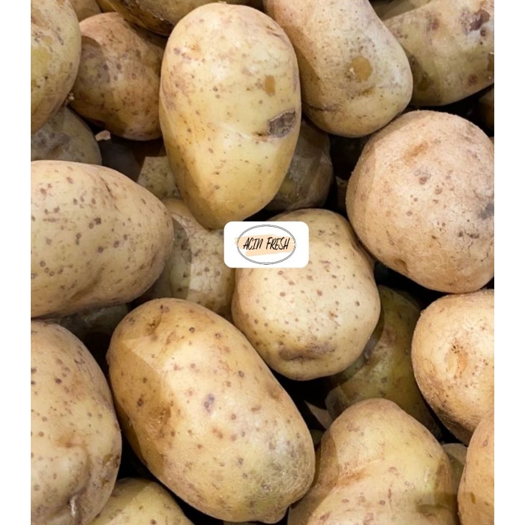 

[BOGOR/CIBINONG] KENTANG DIENG, KENTANG SIOMAY, KENTANG 500GR