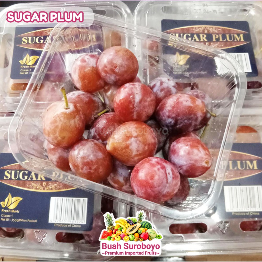 

Sugar Plum Premium (PAX)