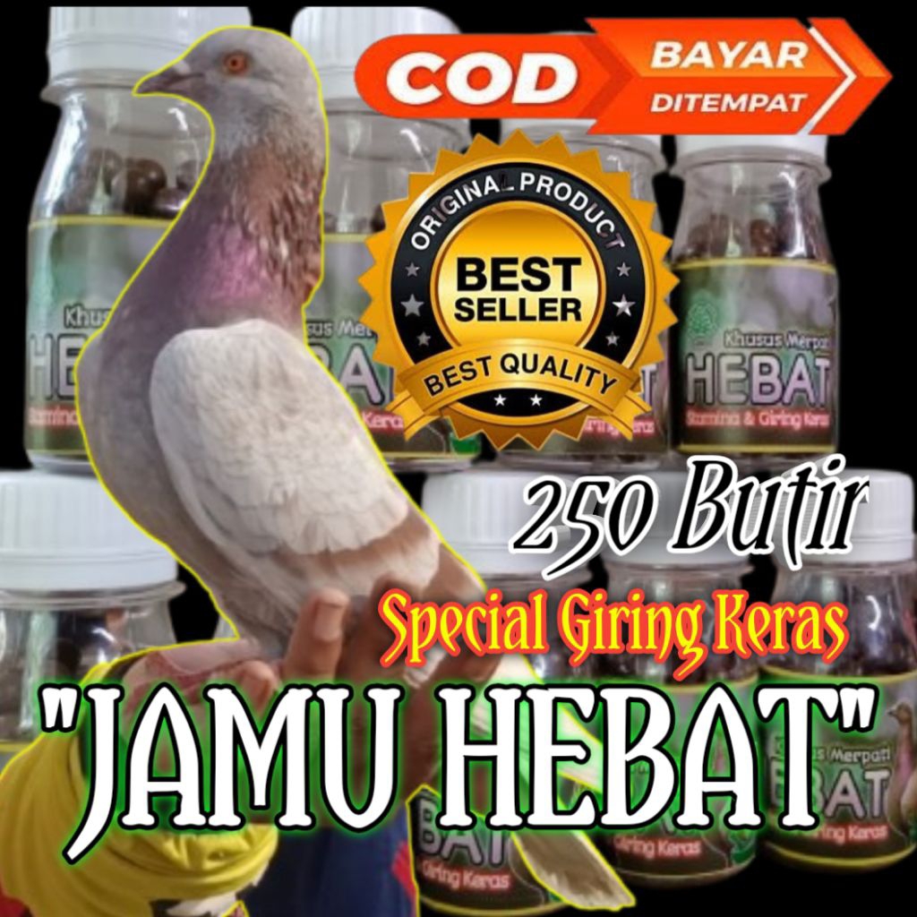 JAMU MERPATI GIRING KERAS "JAMU HEBAT"