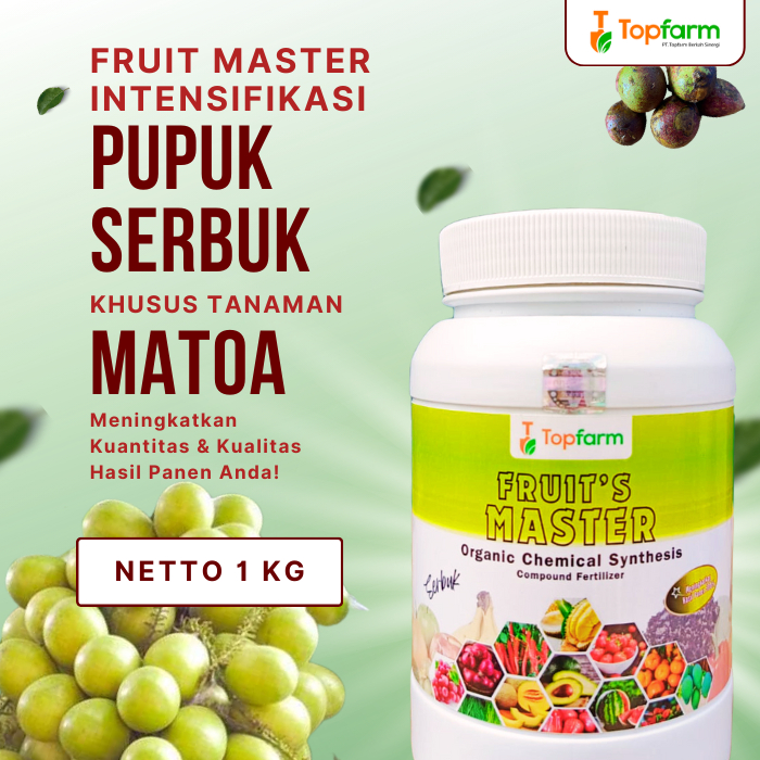 Pupuk Serbuk Topfarm / Pupuk Pohon Matoa / Pupuk Pepebat Buah Matoa / Pupuk Matoa Agar Berbuah Lebat