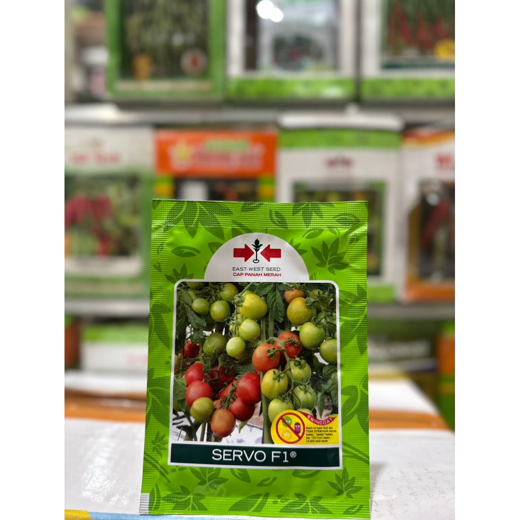 BENIH TOMAT SERVO F1 1759 butir - Bibit tomat SERVO F1