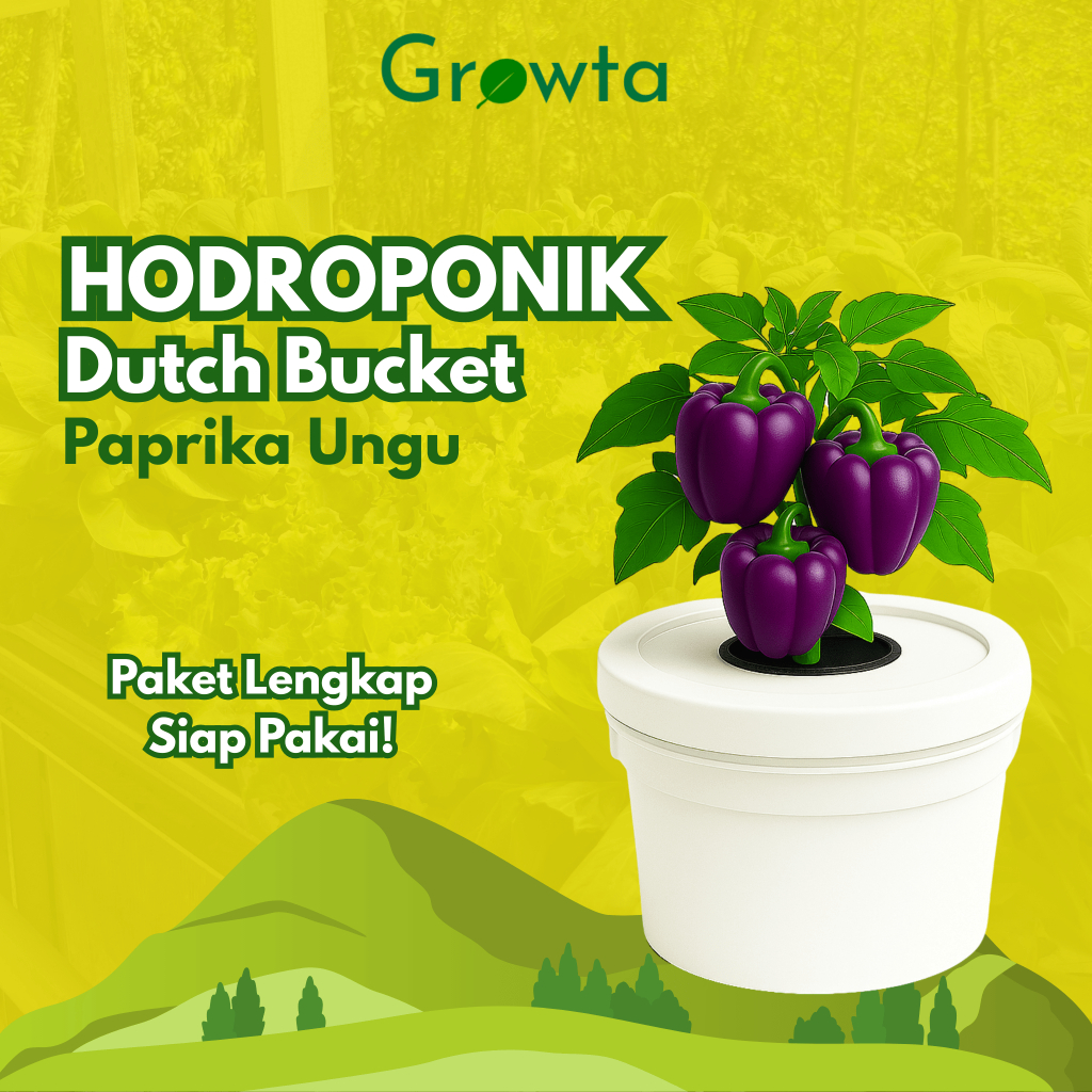 Paket Lengkap Hidroponik Pemula Dutch Bucket Paprika Ungu Wick System