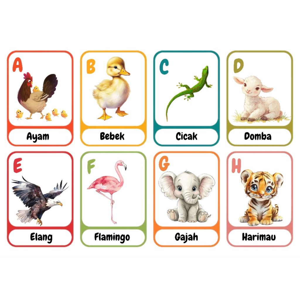 Flashcard Alphabet Huruf Hewan Animal