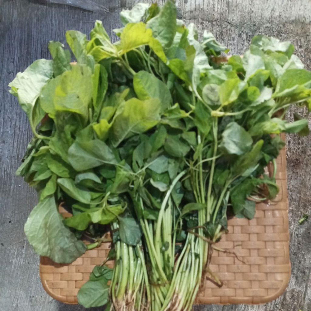 

Bayam Hijau Segar 300 gram