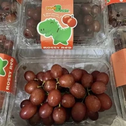

Buah anggur Rossy red Ruby fresh manis 500 gram
